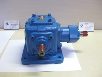 T4-1:1-1-LR側面照片