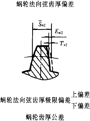 平面二次包絡環面蝸杆傳動精度蝸杆、蝸輪誤差的定義及代号